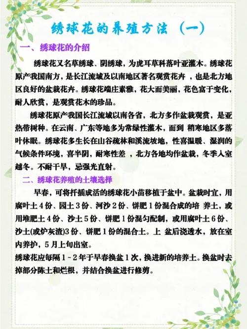 绣球花的种植方法和注意事项