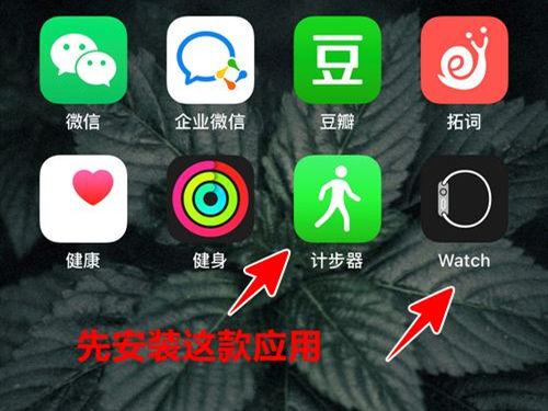 手表步数和手机步数如何同步