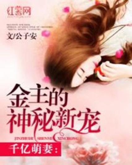 总裁的神秘宠妻
