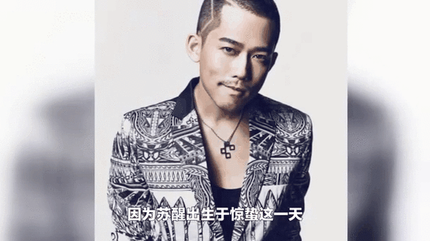 苏醒是什么意思