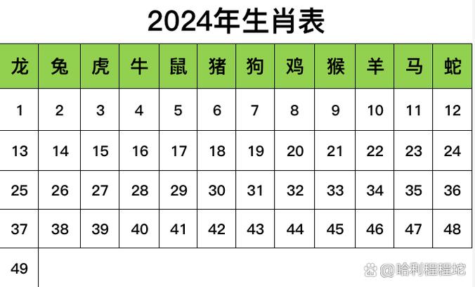 2024年生肖表图片
