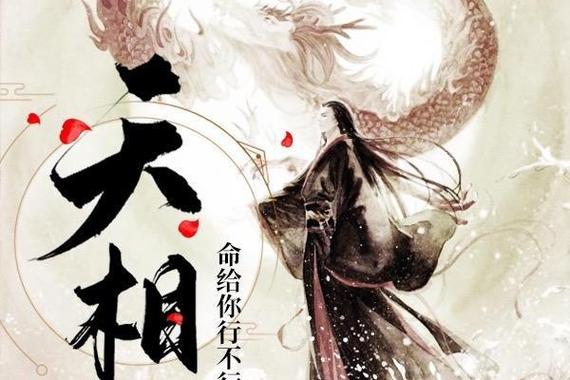 《天相》小说境界划分
