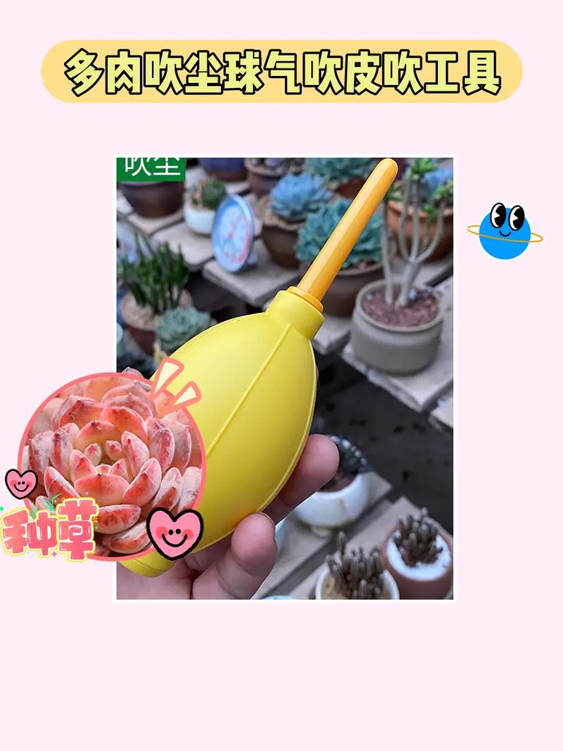 电脑清灰换硅脂一般多少钱