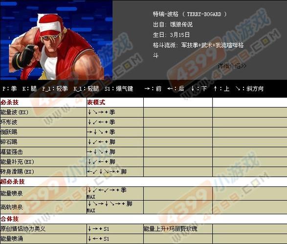 拳皇大战之饿狼来袭swf游戏下载图标