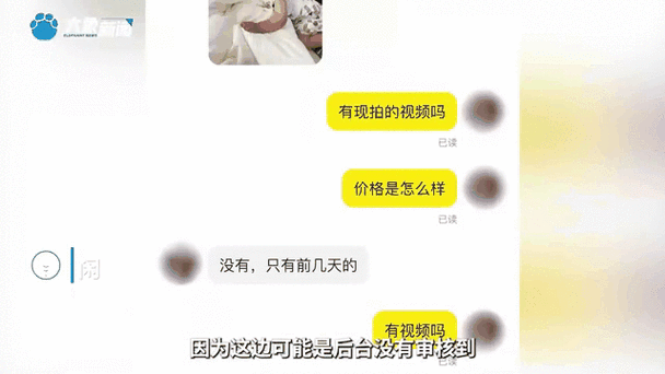 闲鱼为啥动态不给人看