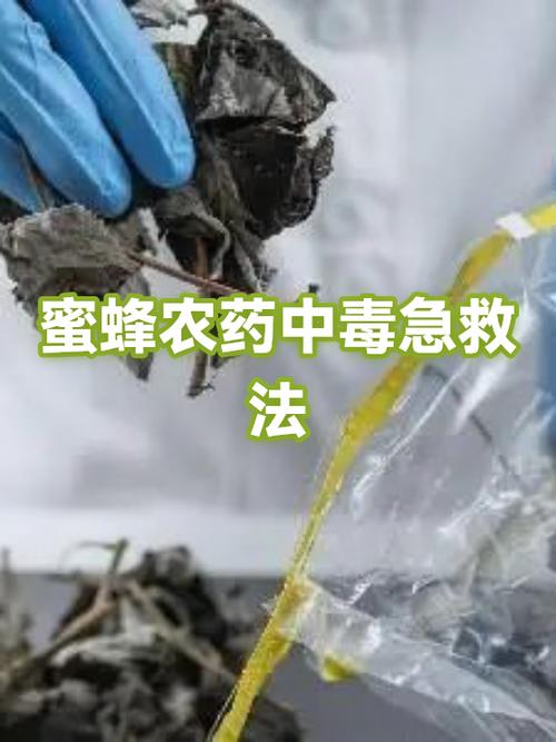 蜜蜂中毒了怎么解毒
