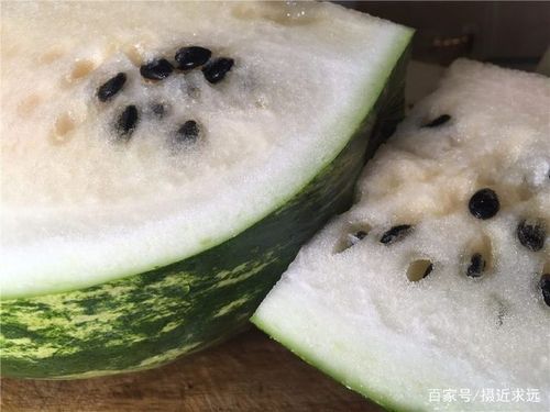 白色黑子吃的一种东西是什么缩略图