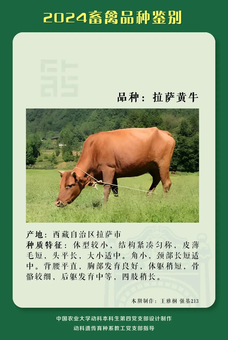 畜种读xu还是chu图标