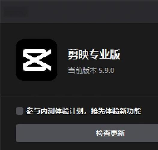剪映专业版bug截图