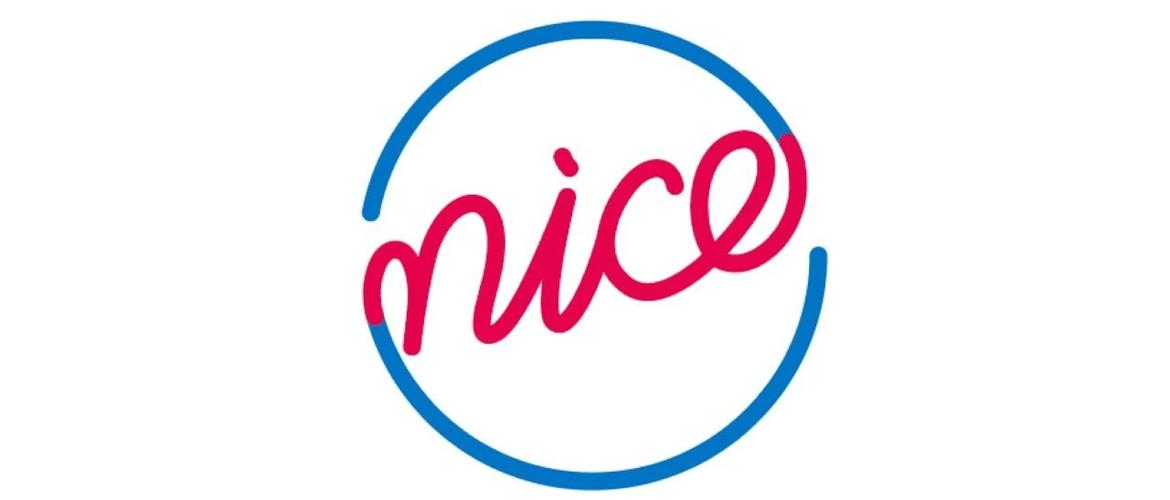 nice什么牌子