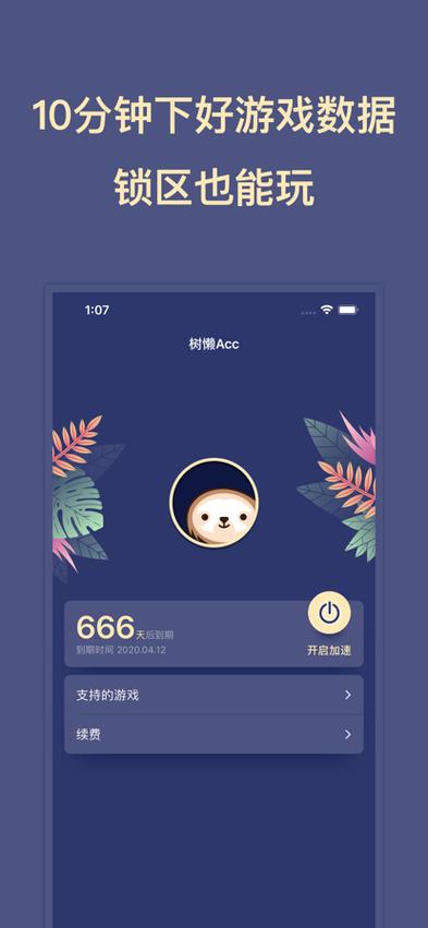树懒acc只能加速游戏吗