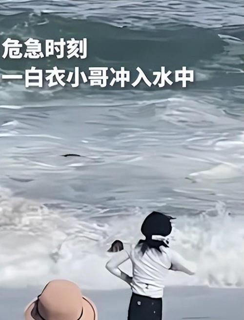 手机掉水里为什么会变卡