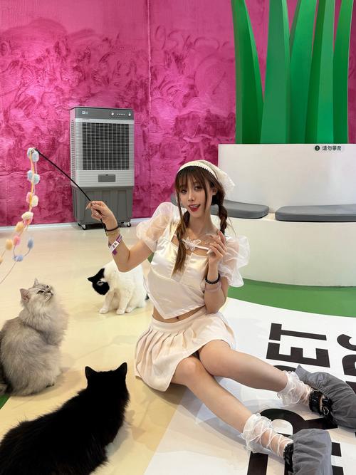 莱西小猫主播福利