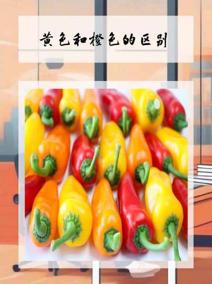 黄橙是什么意思