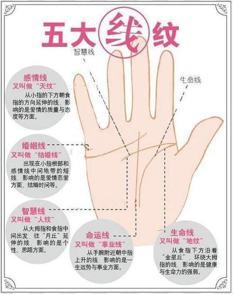 女生右手掌纹解说图 详解