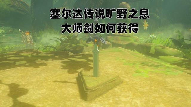 大师剑dlc多少钱