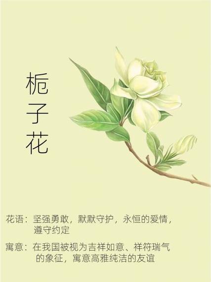 养花人的雅称