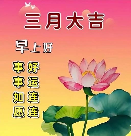 写三月的优美句子缩略图