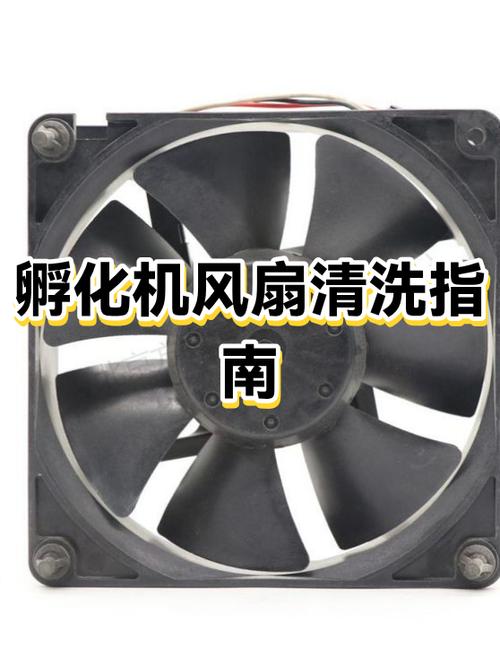风扇清洗方法游戏截图