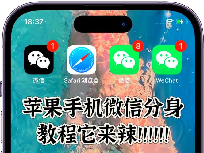 免费的分身软件哪个好用