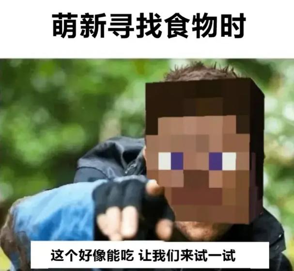 我的世界,表情包缩略图