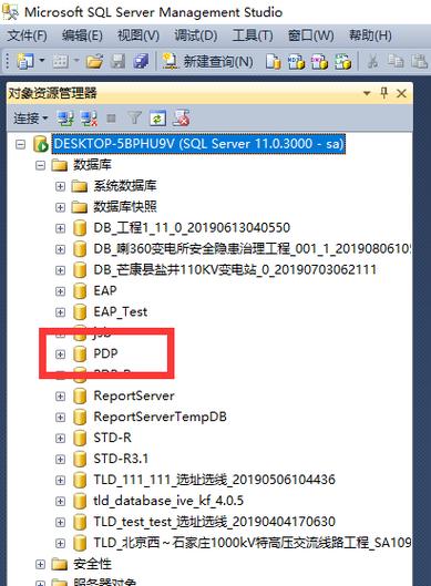 pdp是什么格式的文件