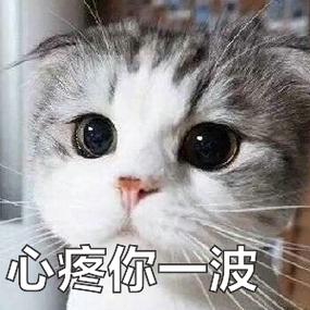 心疼表情包