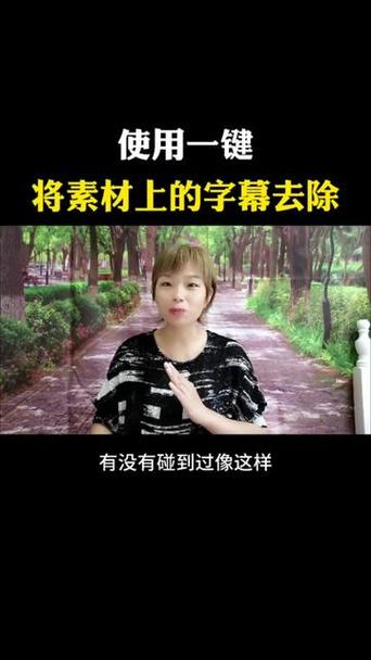 消除视频文字免费软件