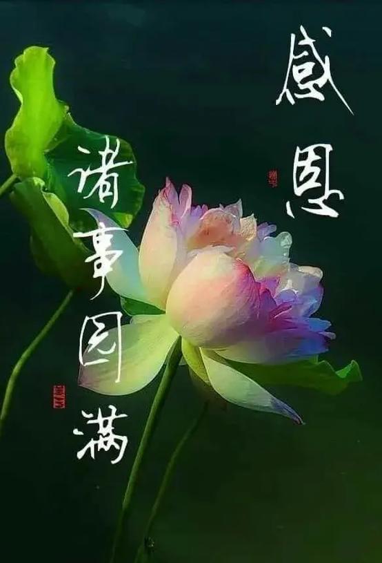 佛语最吉祥的祝福语