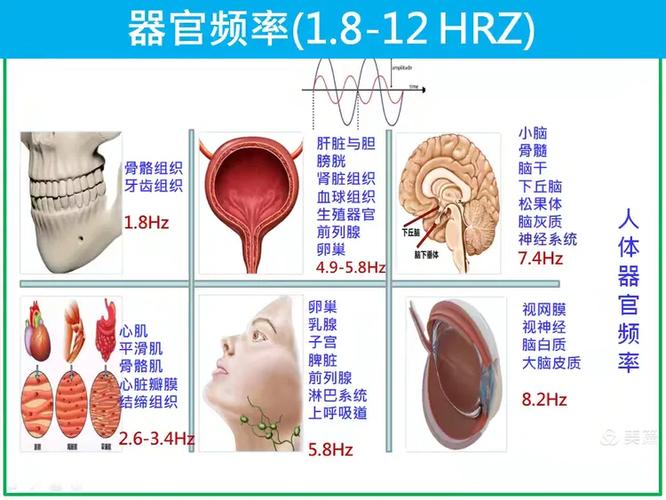 人体共振频率是多少图标