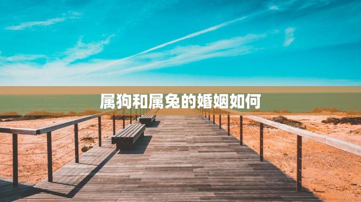 属狗与免婚姻如何截图