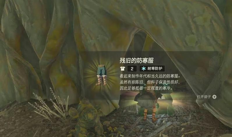塞尔达鸟人二级防寒服