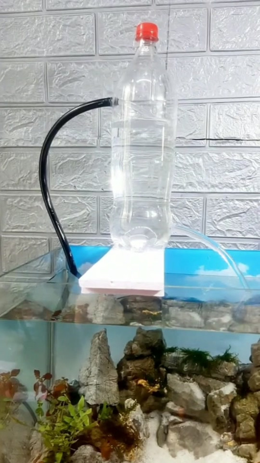 自制鱼缸永久水循环截图