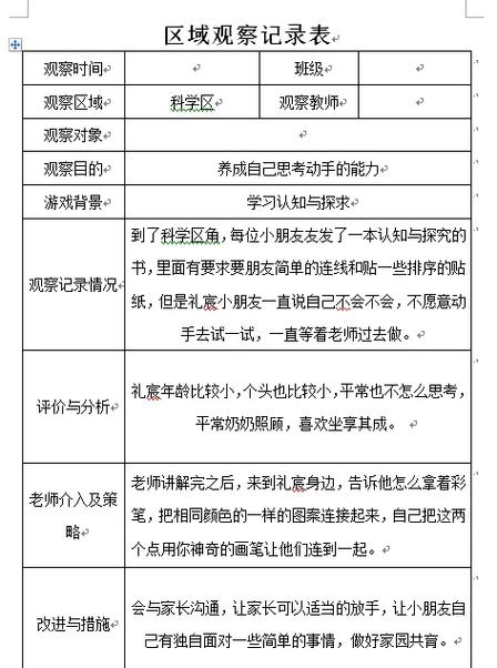 幼儿园小班区域活动观察记录表