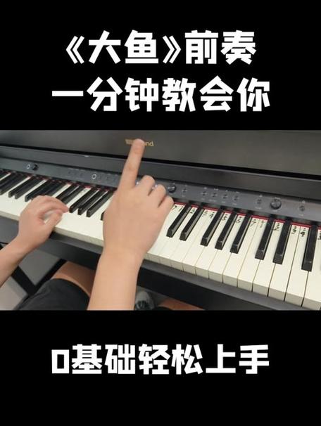 大鱼钢琴曲
