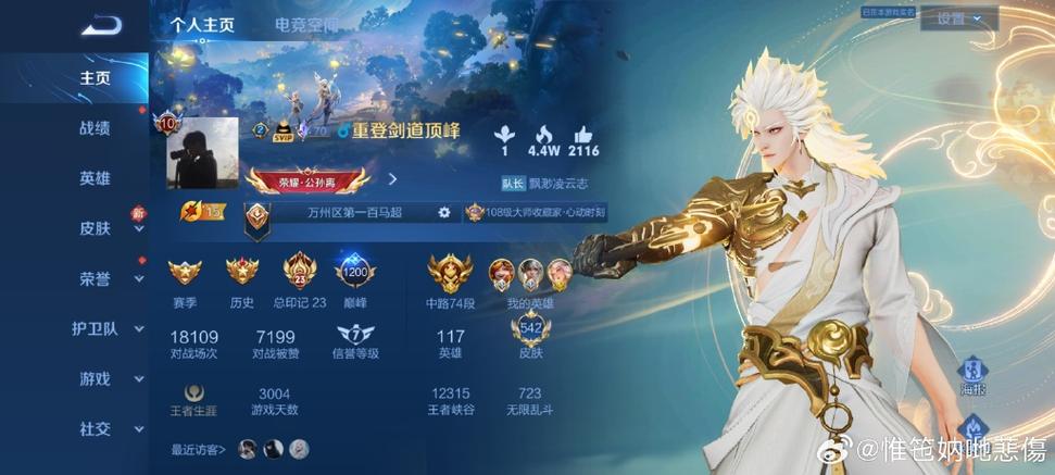王者主页不显示战队名字游戏截图