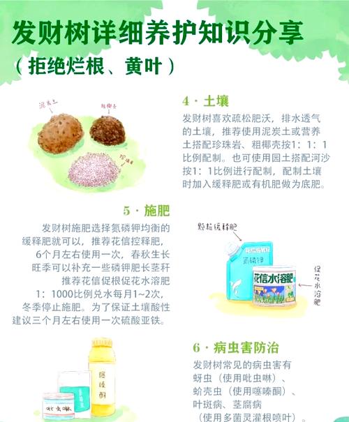 发财树树干开始变软怎么补救游戏截图
