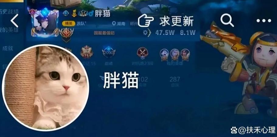 alex的王者小课堂