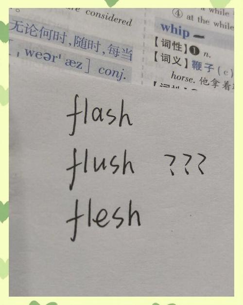 fl3是什么意思截图