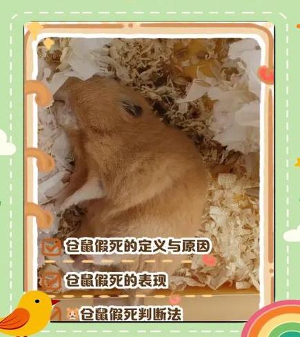 仓鼠假死会自己醒吗