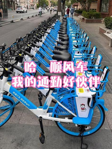 哈罗顺风车使用时间