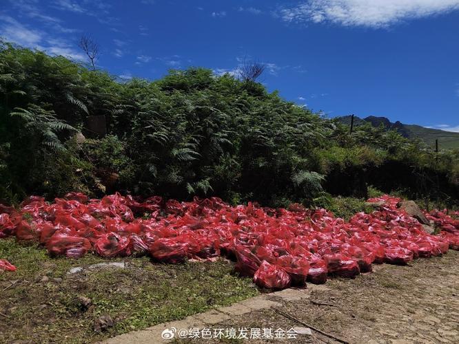 蚂蚁森林浇多少水才能长成树图标