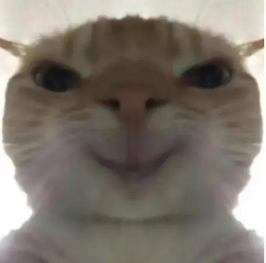猫头表情包缩略图