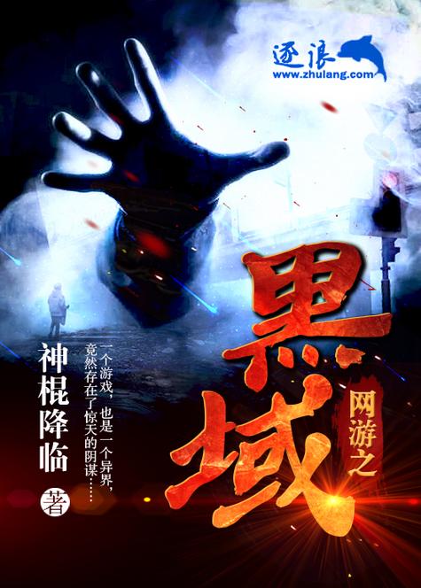黑域破解版专业版截图