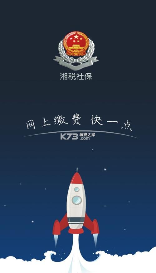 湘税社保缴费app下载安装官网最新版