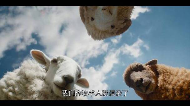 绵羊侦探团