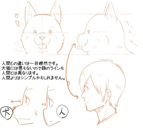 furry兽人数码宝贝