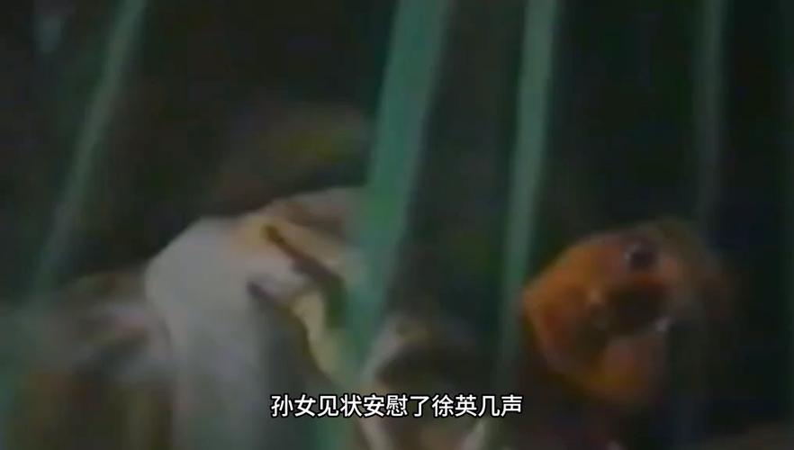 古宅鬼影