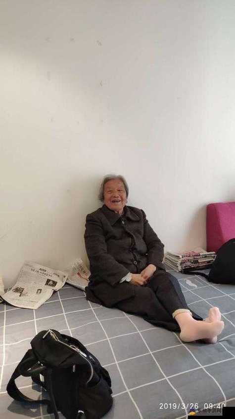 类似肥白大妈的祖母题材小说