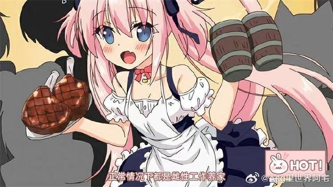 从妻子到女仆游戏下载